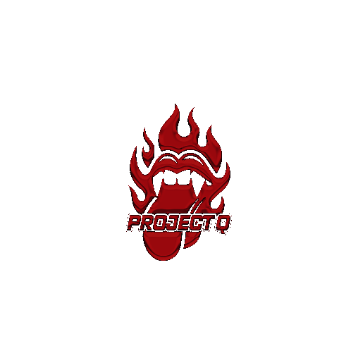 Project Q